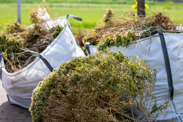 Best Hoarding Cleanup  in Oakbrook, KY